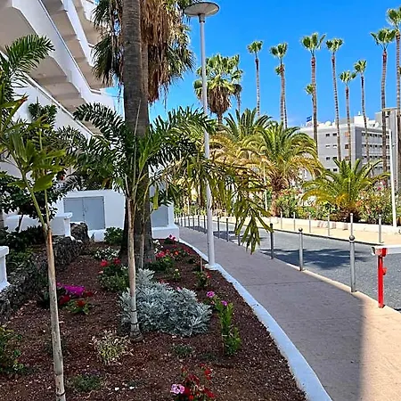 Hotell Tenerife Sea View 216 Arona (Tenerife)